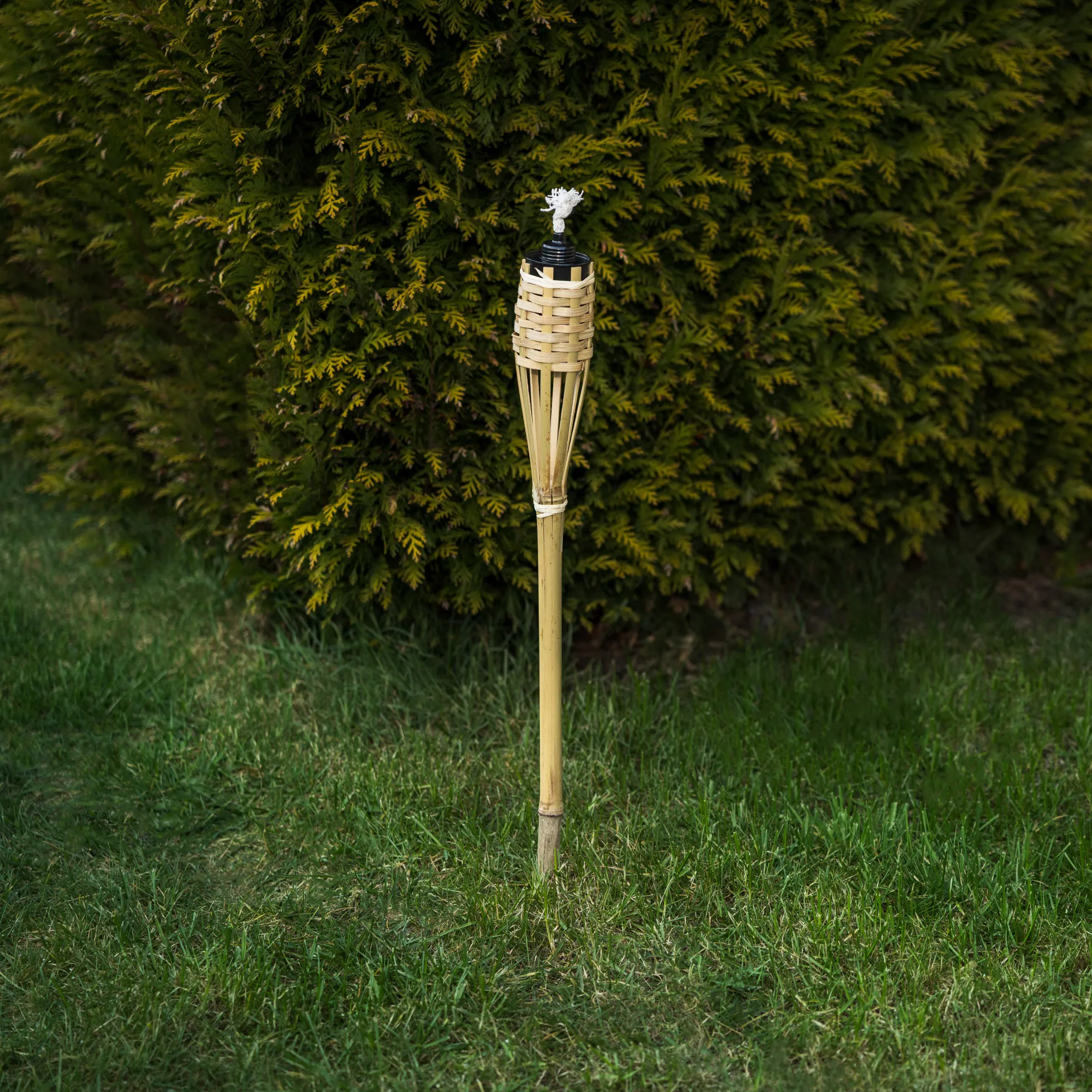 Bambusfakkel natur 60cm