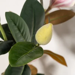 Kunstig magnoliatræ 160 cm